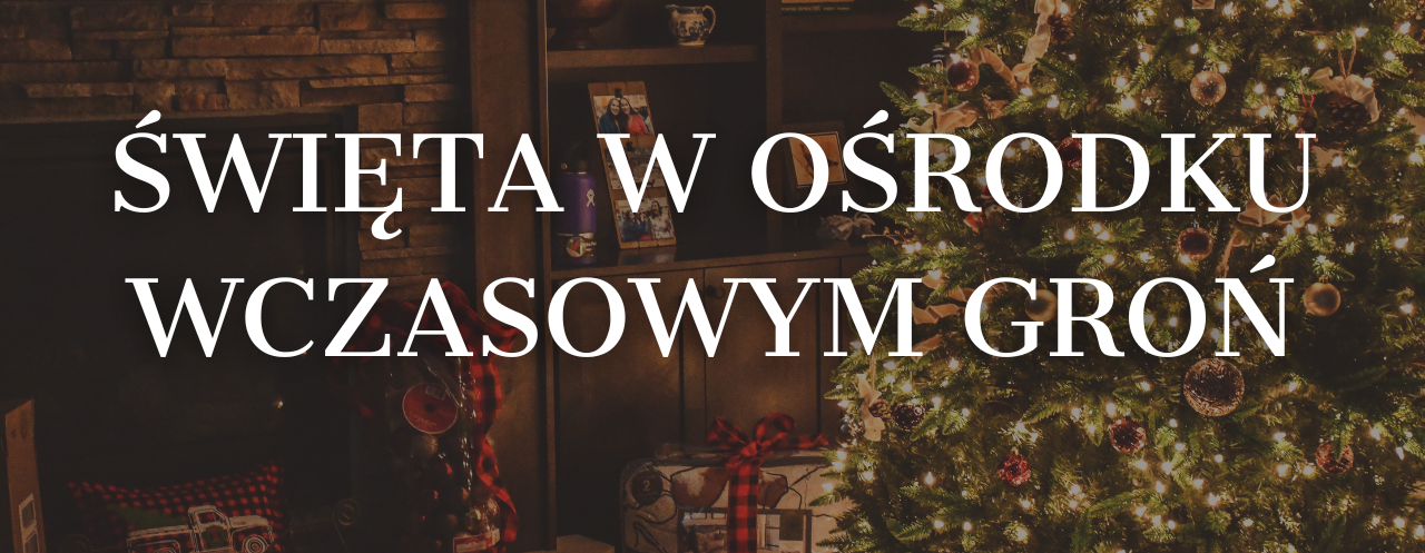 Zapraszamy na Boże Narodzenie do Nas !!!!!